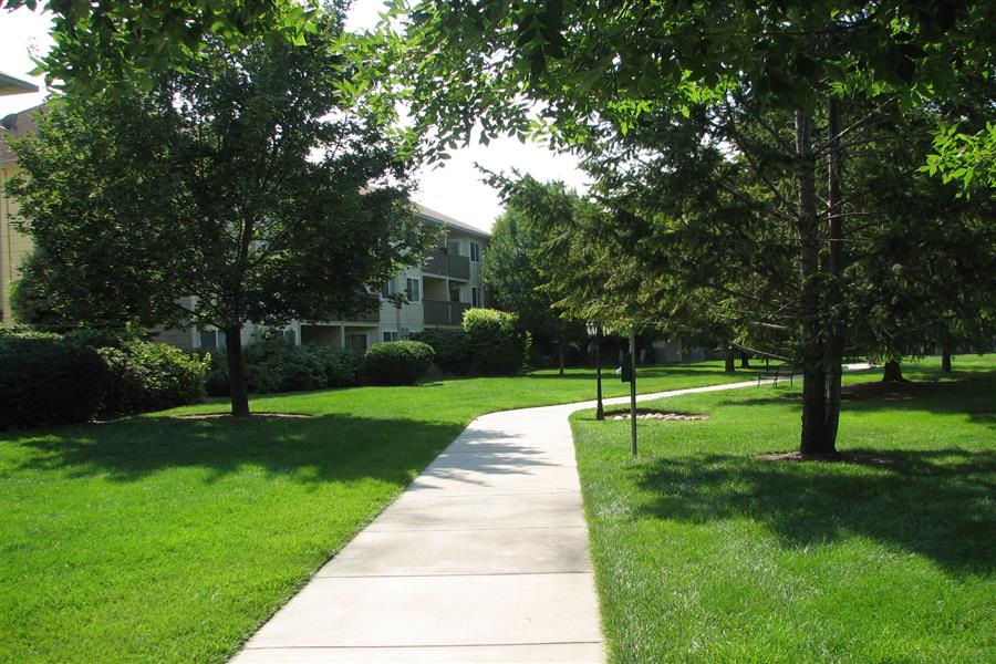 Gallery Photo 39
