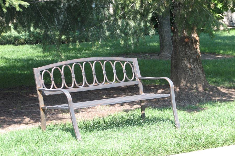 Gallery Photo 42