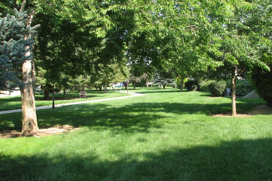 Gallery Photo 47