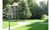 Gallery Image 55
