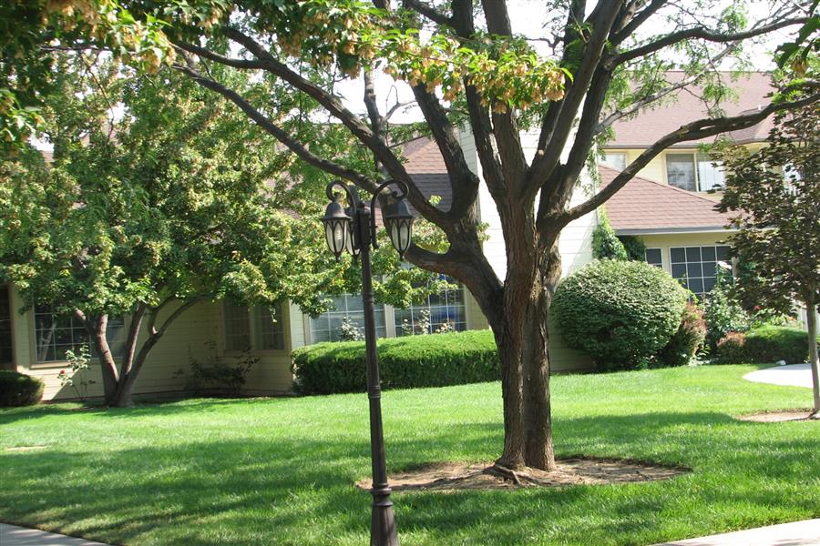 Gallery Photo 58