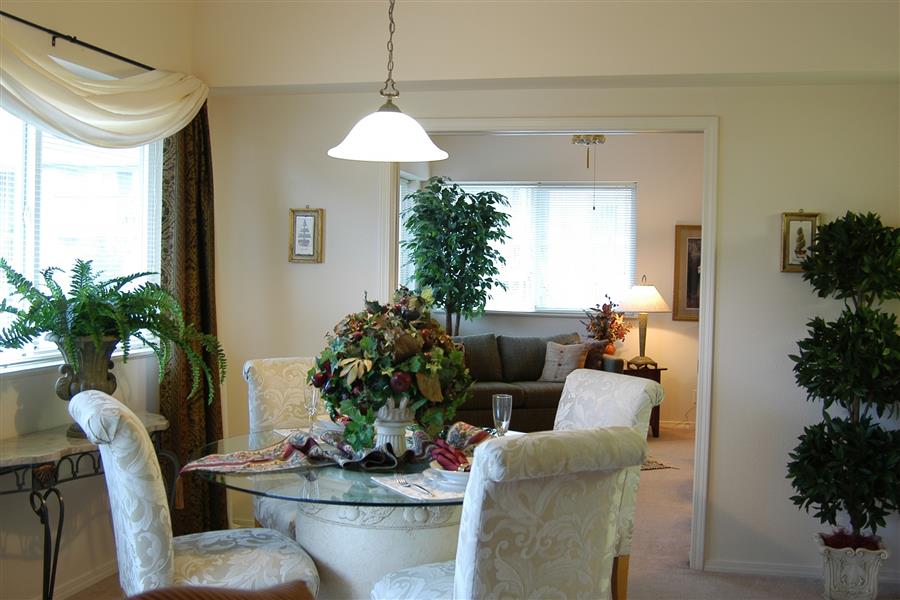 Gallery Photo 96