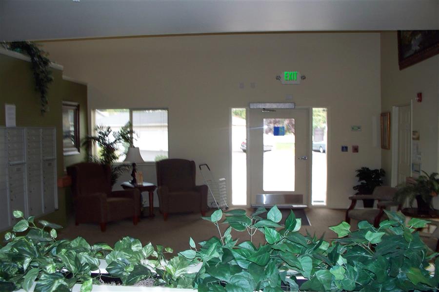 Gallery Photo 13
