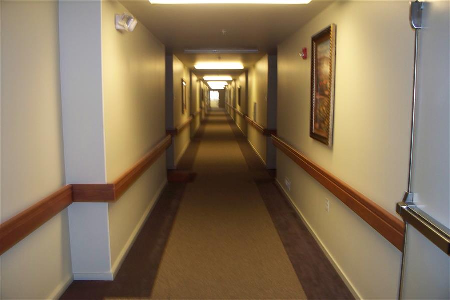 Gallery Photo 14