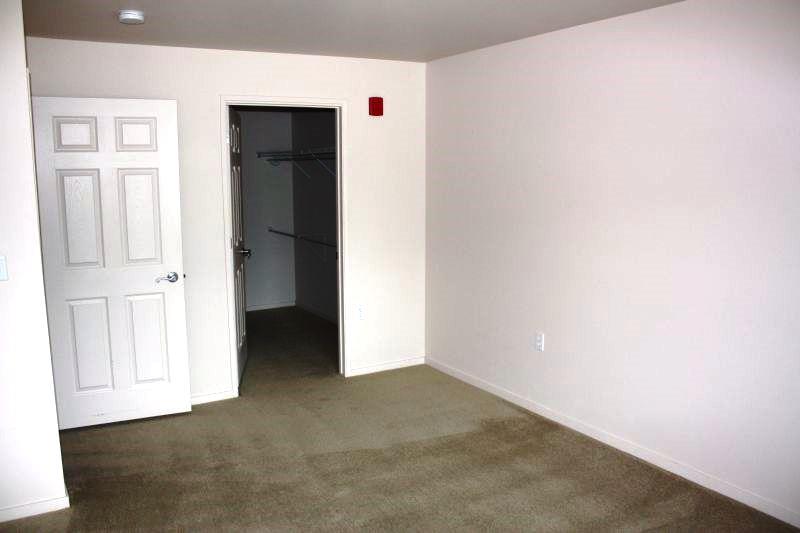 Gallery Photo 15