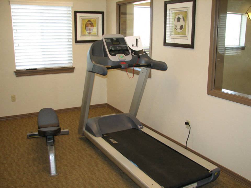 Gallery Photo 5