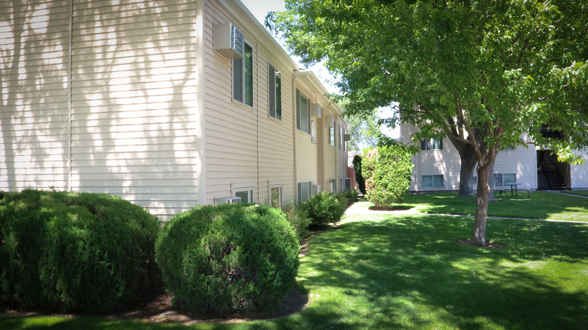 Gallery Photo 19