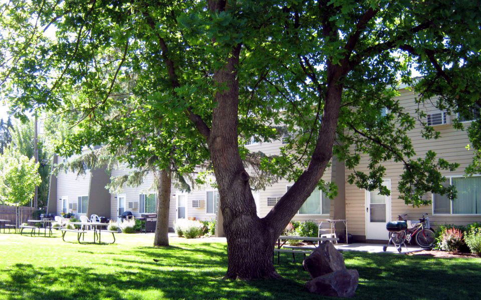 Gallery Photo 1