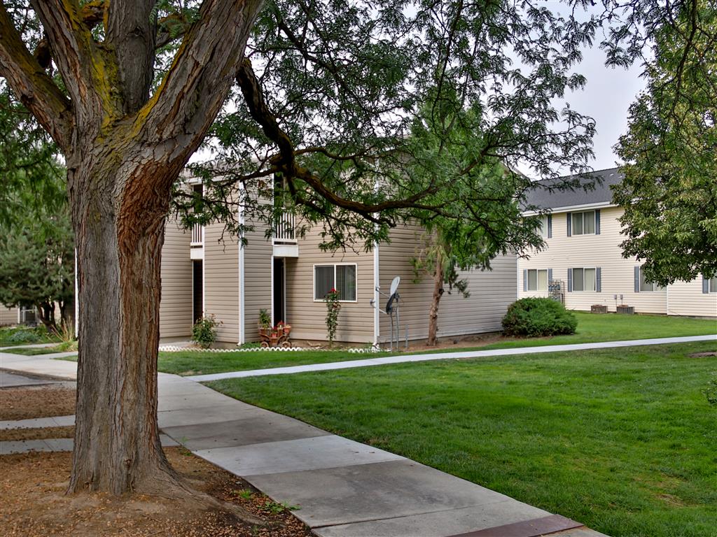 Gallery Photo 41