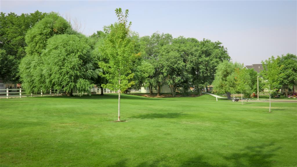 Gallery Photo 47