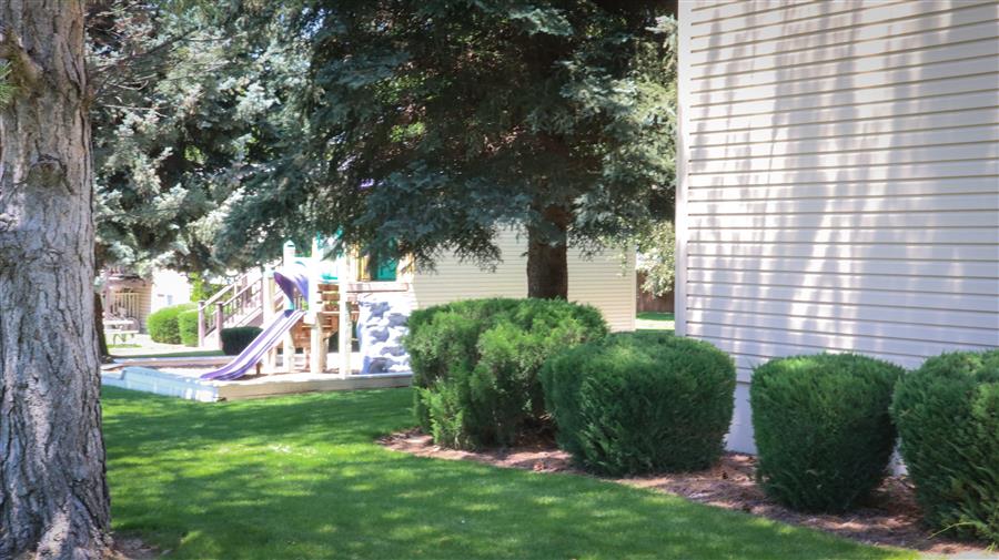 Gallery Photo 11