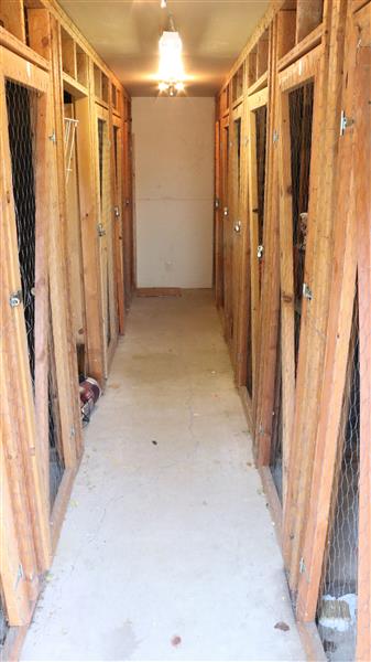 Gallery Photo 13