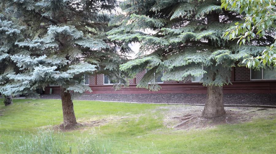 Gallery Photo 55