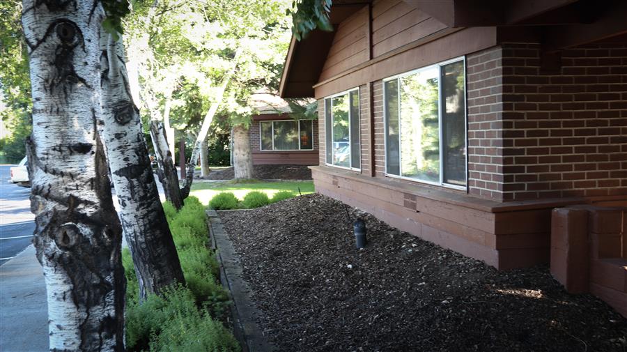 Gallery Photo 26
