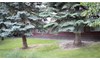 Gallery Image 55