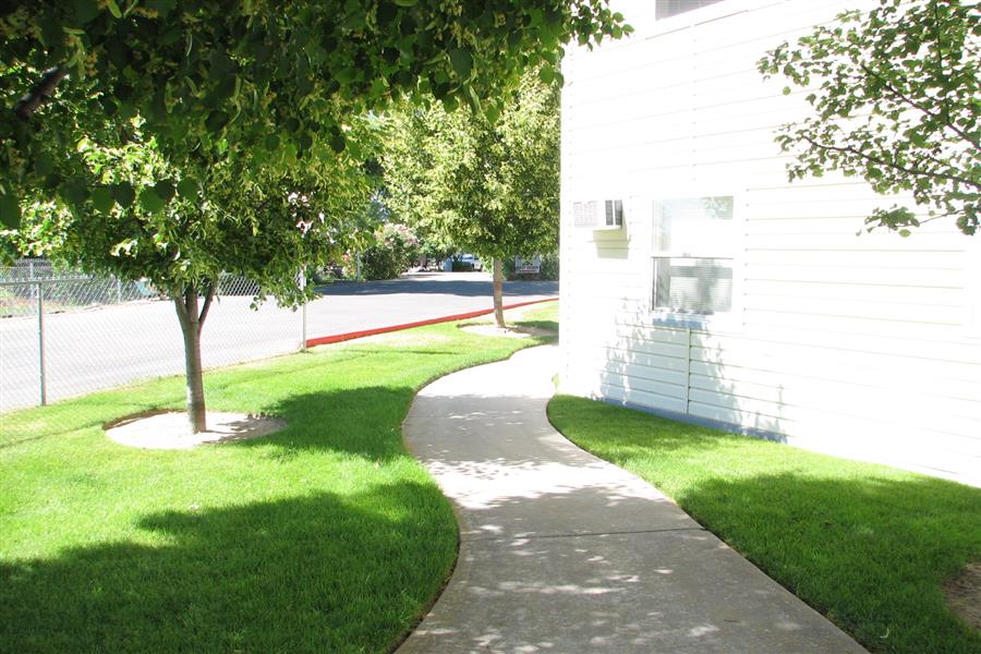 Gallery Photo 7