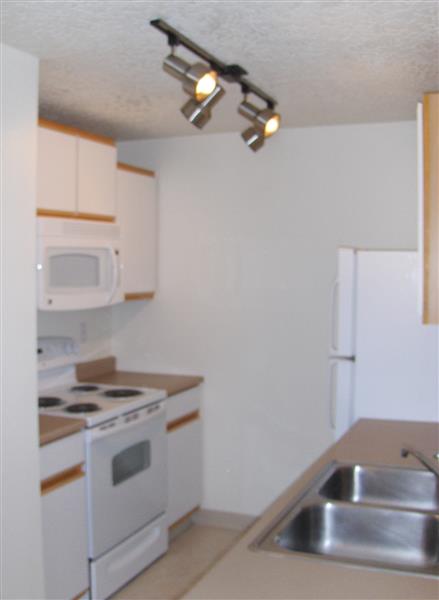 Gallery Photo 11