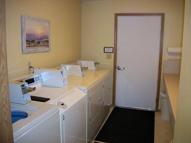 Gallery Photo 18