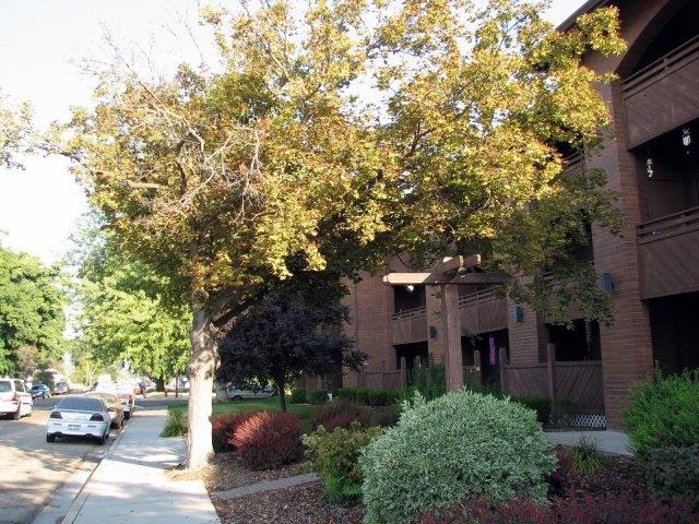Gallery Photo 8