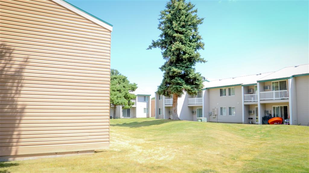 Gallery Photo 17