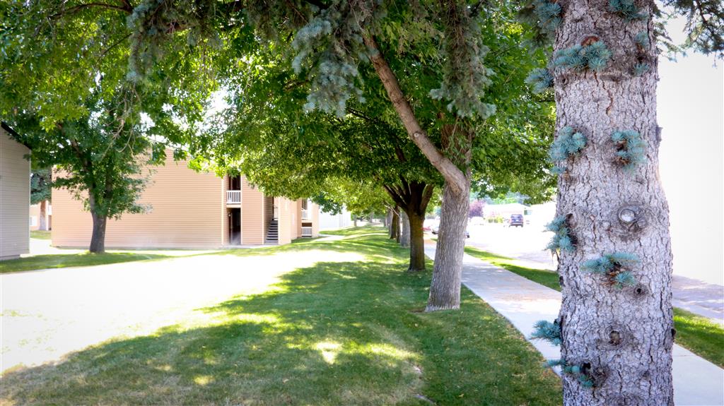 Gallery Photo 29