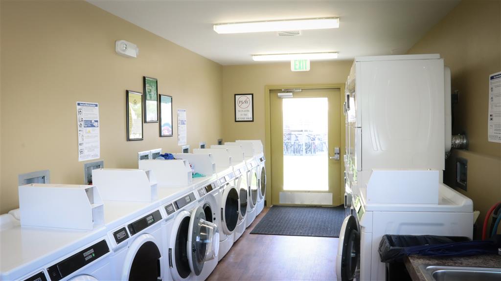 Gallery Photo 36