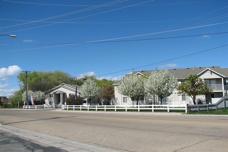 Gallery Photo 16