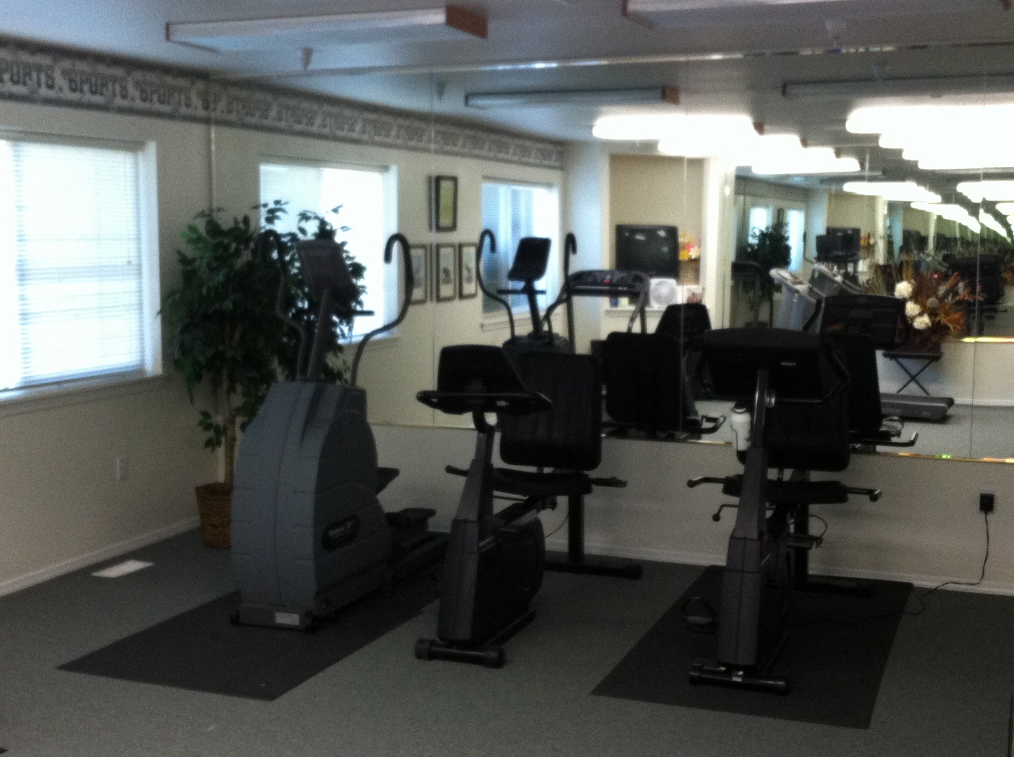 Gallery Photo 18