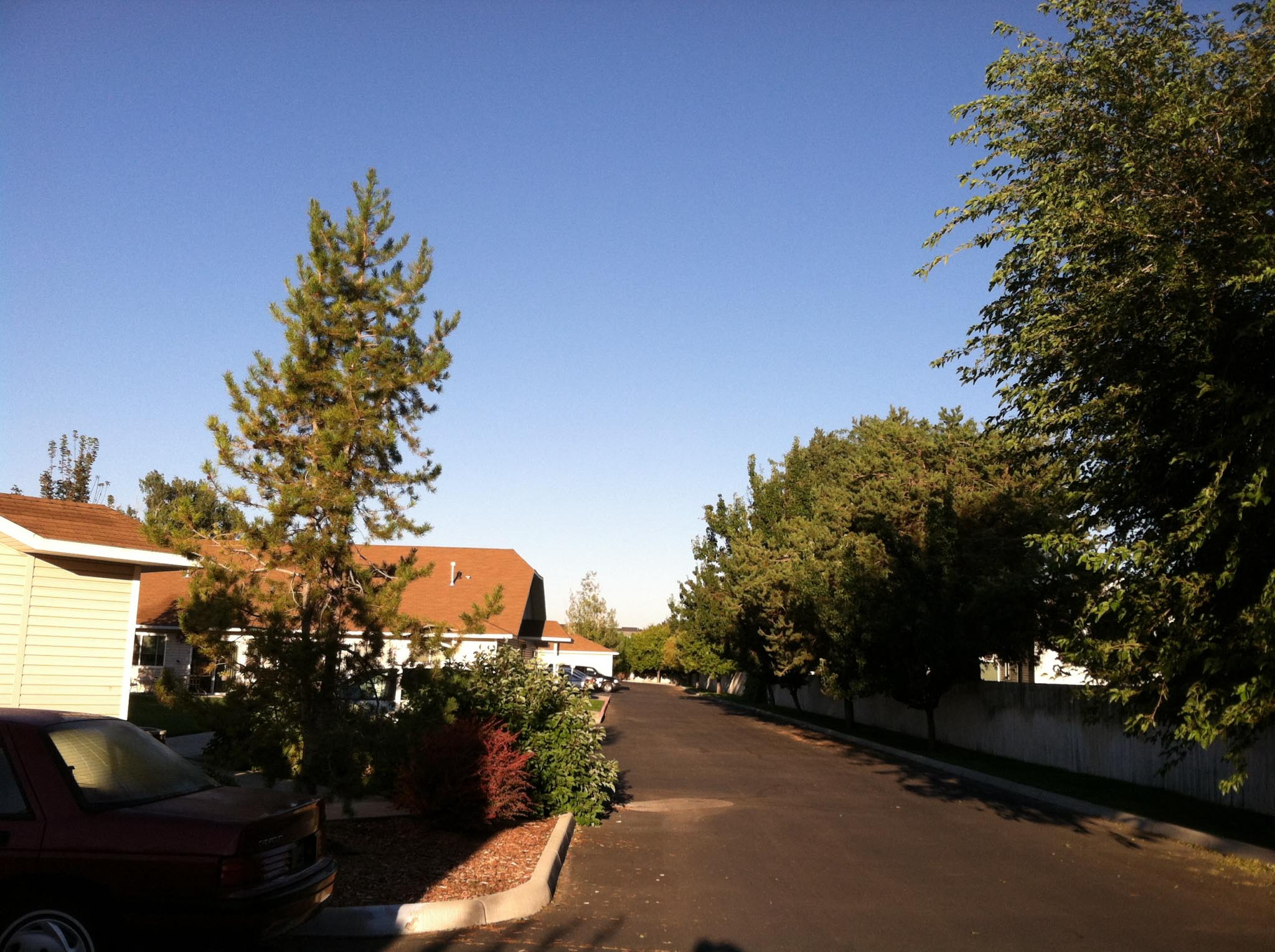 Gallery Photo 11