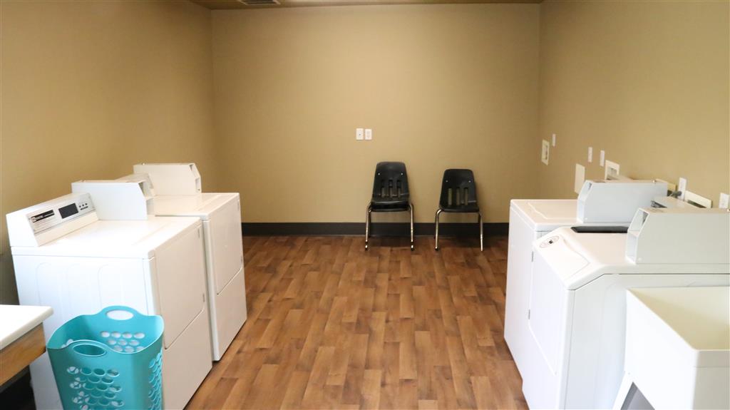 Gallery Photo 54