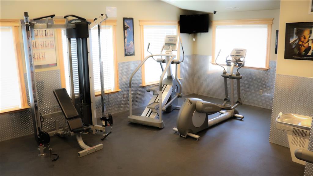 Gallery Photo 46