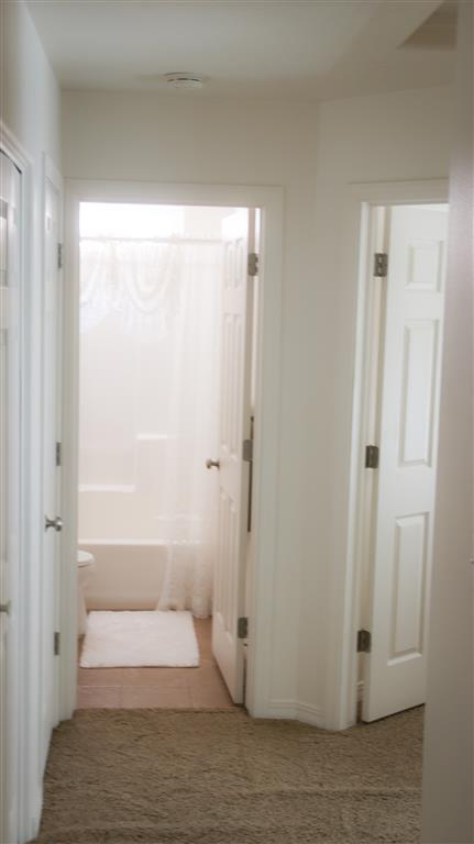 Gallery Photo 67