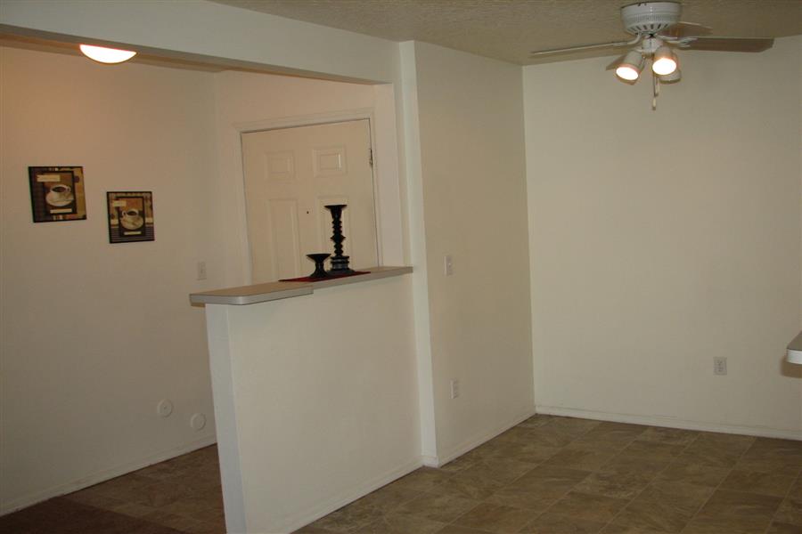 Gallery Photo 19