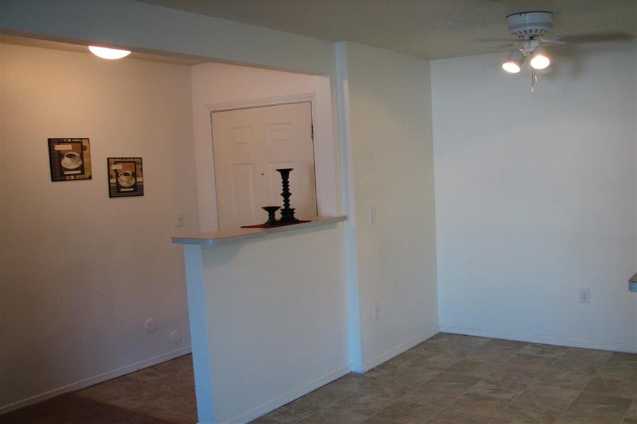 Gallery Photo 20