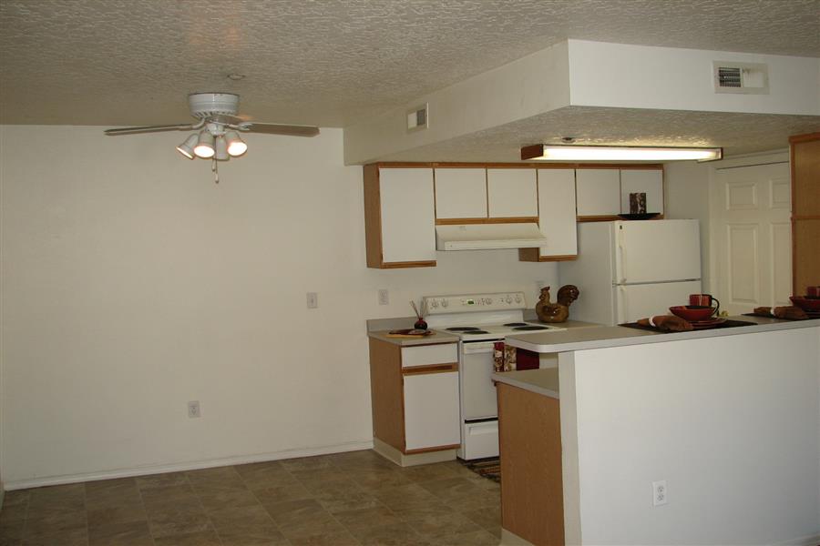 Gallery Photo 27