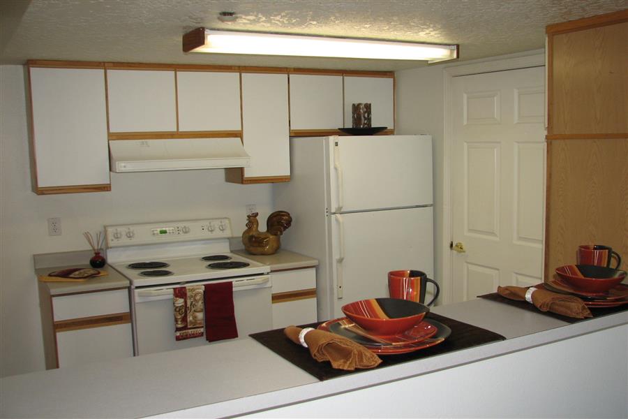 Gallery Photo 28