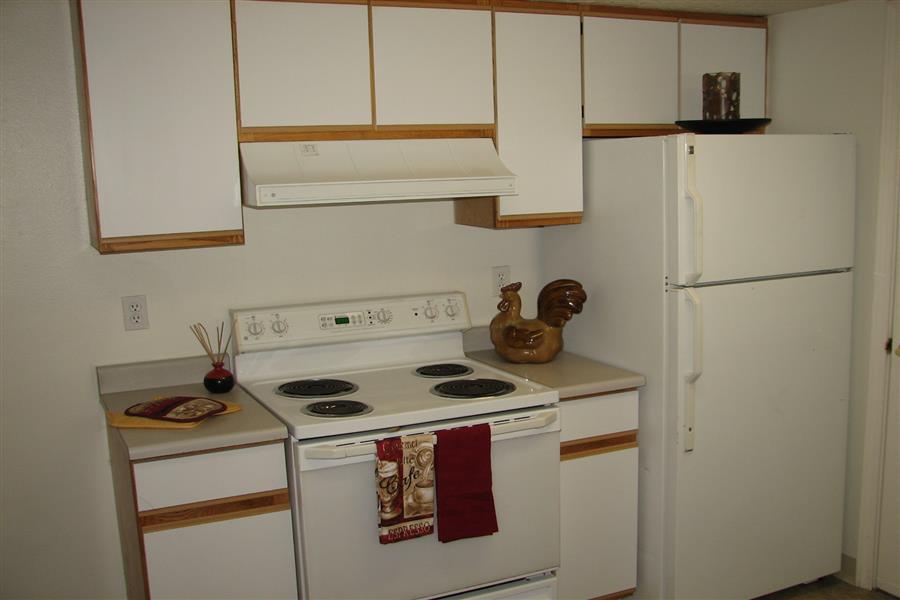 Gallery Photo 29