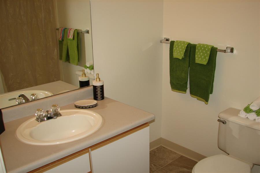 Gallery Photo 38