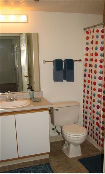 Gallery Photo 39