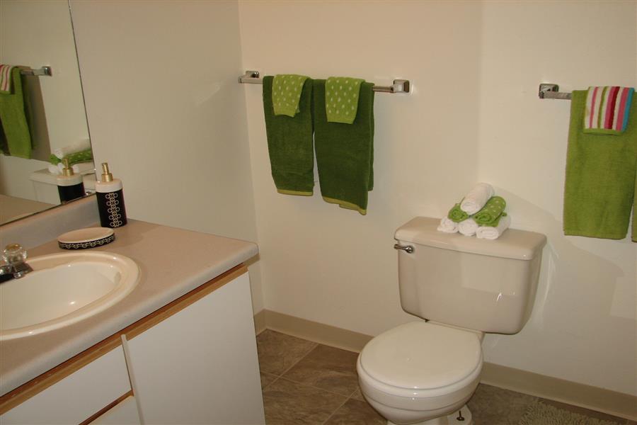 Gallery Photo 40