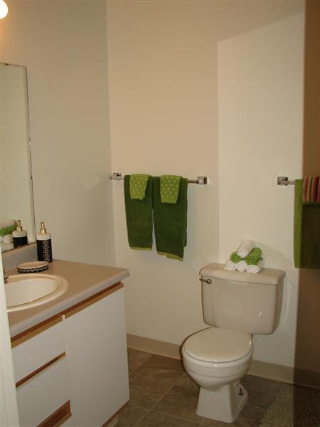 Gallery Photo 41