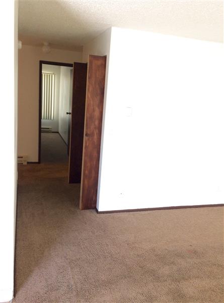Gallery Photo 15