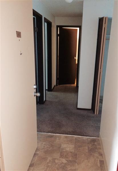 Gallery Photo 17