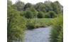 Gallery Image 21