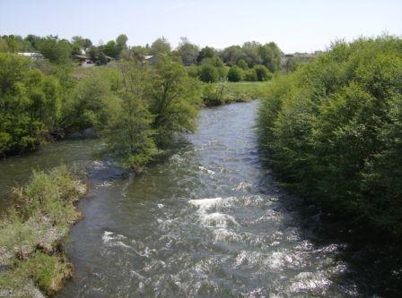 Gallery Photo 22