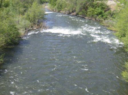 Gallery Photo 24