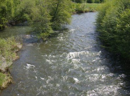 Gallery Photo 25