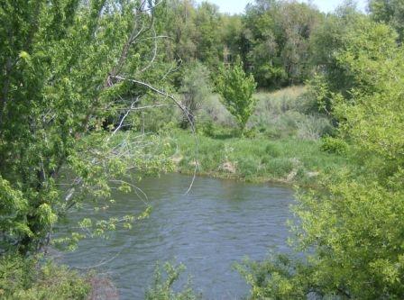 Gallery Photo 26