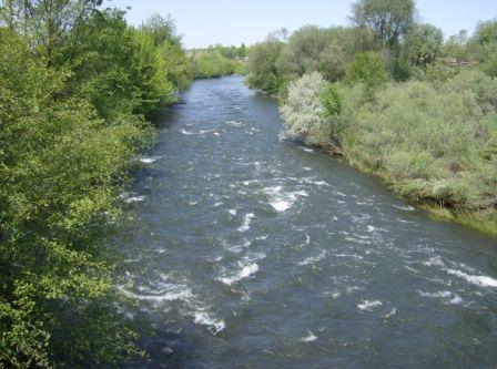 Gallery Photo 28
