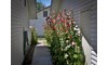 Gallery Image 37